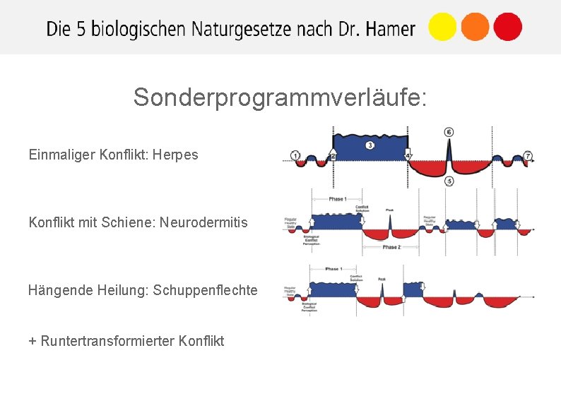 Sonderprogrammverläufe: Einmaliger Konflikt: Herpes Konflikt mit Schiene: Neurodermitis Hängende Heilung: Schuppenflechte + Runtertransformierter Konflikt