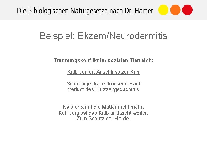 Beispiel: Ekzem/Neurodermitis Trennungskonflikt im sozialen Tierreich: Kalb verliert Anschluss zur Kuh Schuppige, kalte, trockene