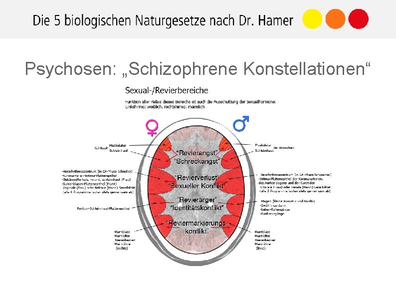 Psychosen: „Schizophrene Konstellationen“ 