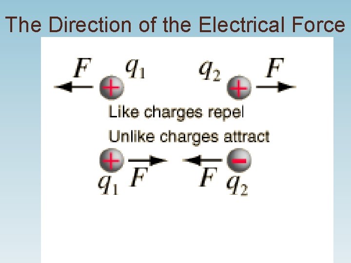 The Direction of the Electrical Force The Direction of the Electrical Force