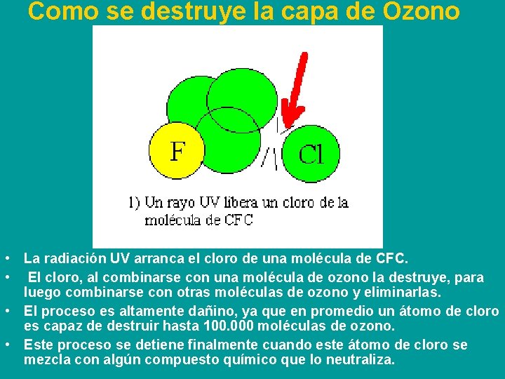 Como se destruye la capa de Ozono • La radiación UV arranca el cloro