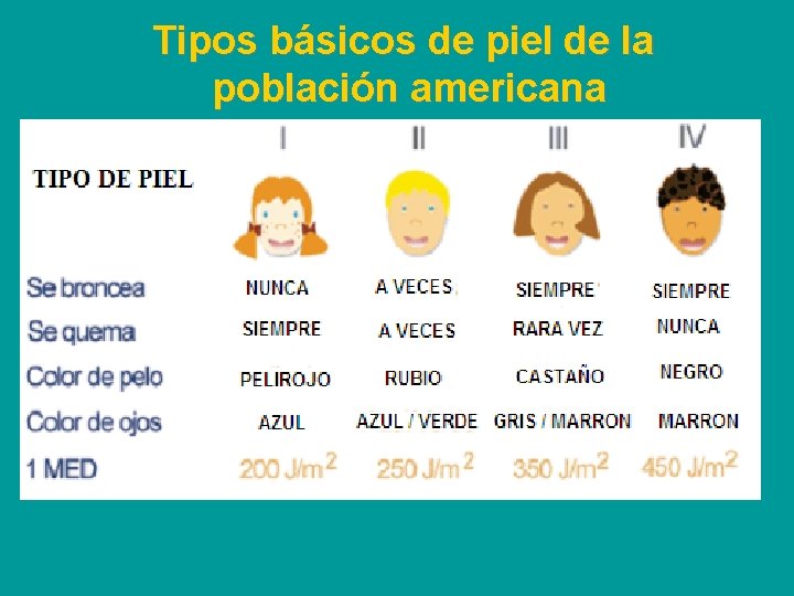 Tipos básicos de piel de la población americana 