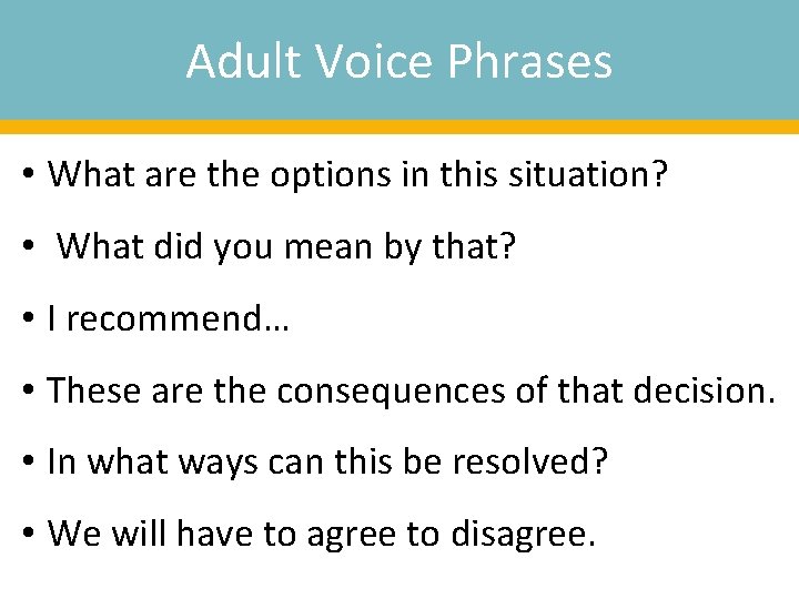 Adult Voice Phrases • What are the options in this situation? • What did