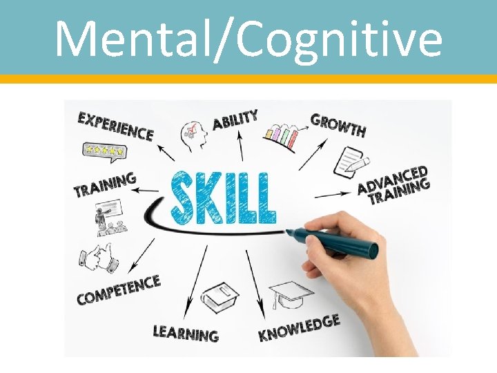 Mental/Cognitive 