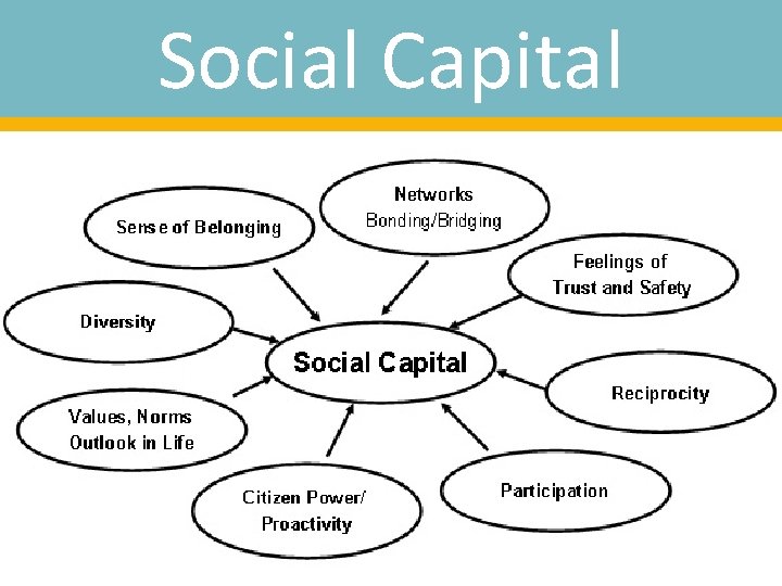 Social Capital 