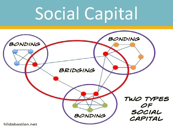 Social Capital 