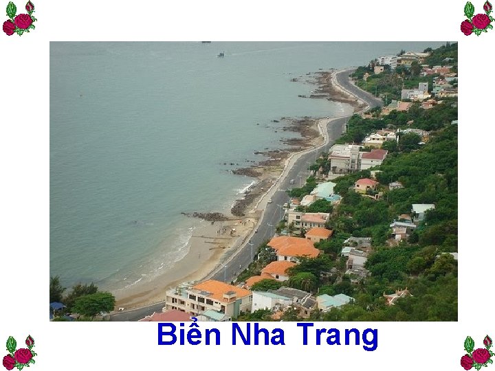 Biển Nha Trang 