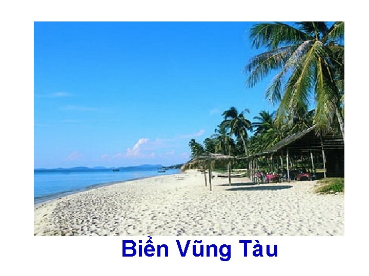 Biển Vũng Tàu 