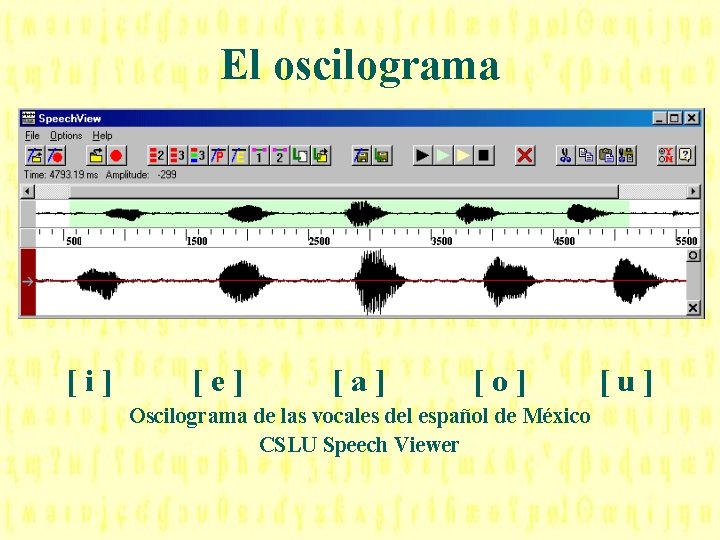El oscilograma [ i ] [ e ] [ a ] [ o ]