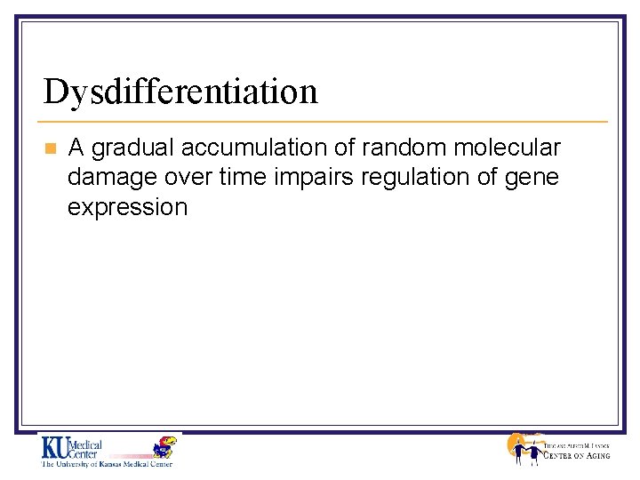 Dysdifferentiation n A gradual accumulation of random molecular damage over time impairs regulation of