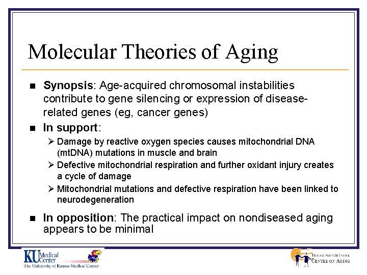 Molecular Theories of Aging n n Synopsis: Age-acquired chromosomal instabilities contribute to gene silencing