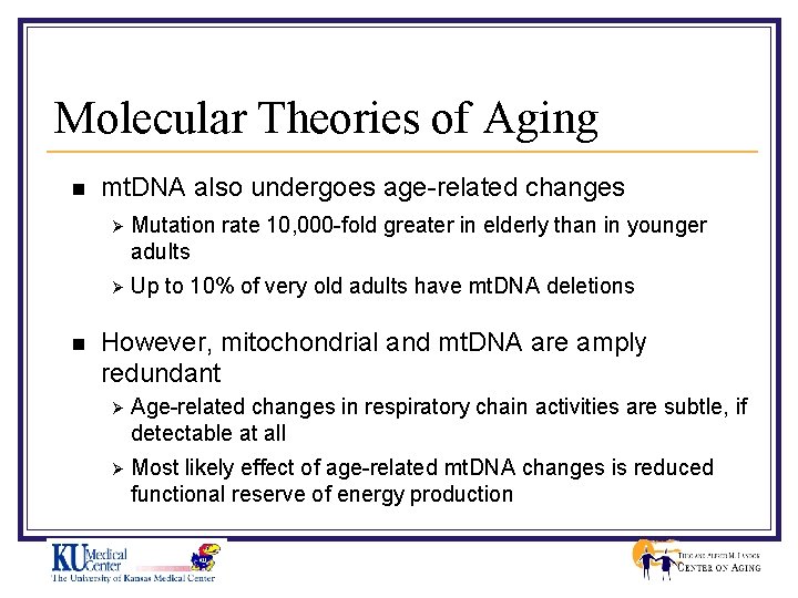 Molecular Theories of Aging n n mt. DNA also undergoes age-related changes Ø Mutation