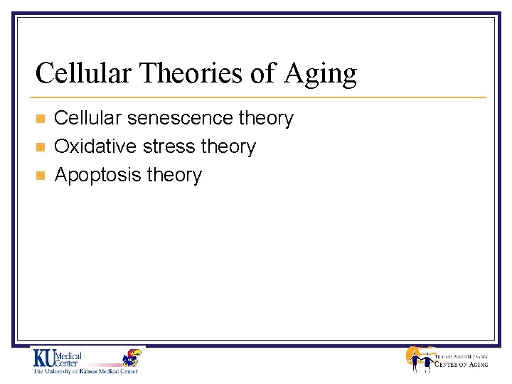 Cellular Theories of Aging n n n Cellular senescence theory Oxidative stress theory Apoptosis