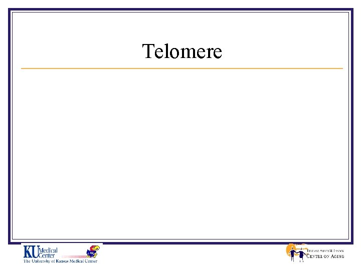 Telomere 