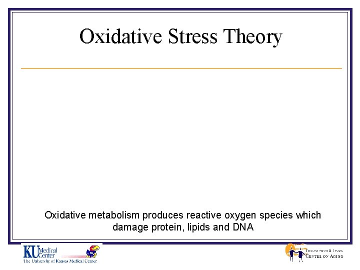 Oxidative Stress Theory Oxidative metabolism produces reactive oxygen species which damage protein, lipids and