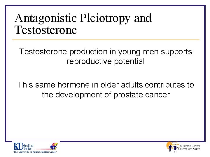 Antagonistic Pleiotropy and Testosterone production in young men supports reproductive potential This same hormone