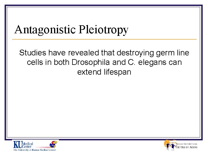 Antagonistic Pleiotropy Studies have revealed that destroying germ line cells in both Drosophila and