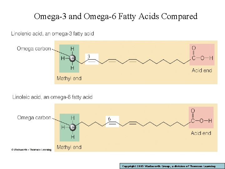 Omega-3 and Omega-6 Fatty Acids Compared Copyright 2005 Wadsworth Group, a division of Thomson Omega-3 and Omega-6 Fatty Acids Compared Copyright 2005 Wadsworth Group, a division of Thomson