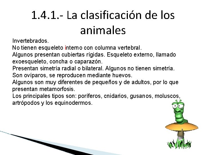 1. 4. 1. - La clasificación de los animales Invertebrados. No tienen esqueleto interno