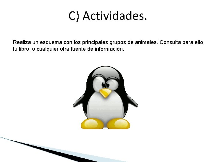 C) Actividades. Realiza un esquema con los principales grupos de animales. Consulta para ello