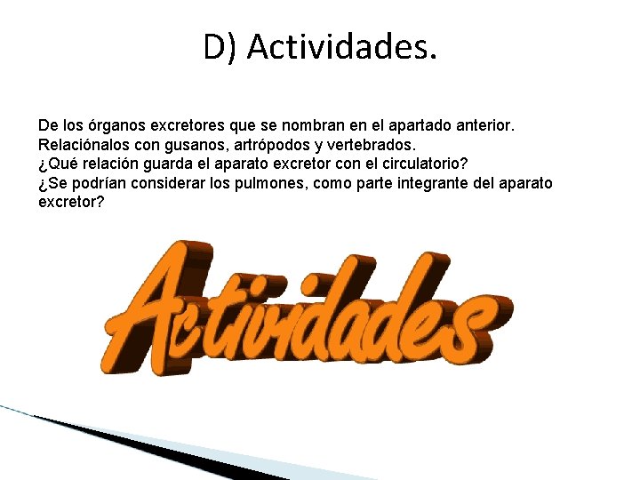 D) Actividades. De los órganos excretores que se nombran en el apartado anterior. Relaciónalos D) Actividades. De los órganos excretores que se nombran en el apartado anterior. Relaciónalos
