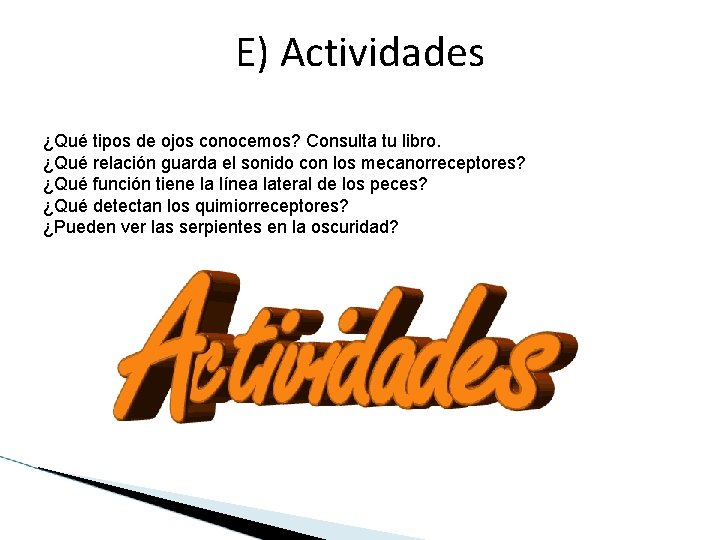 E) Actividades ¿Qué tipos de ojos conocemos? Consulta tu libro. ¿Qué relación guarda el