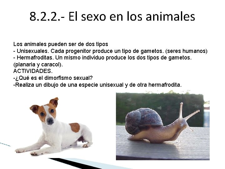 8. 2. 2. - El sexo en los animales Los animales pueden ser de