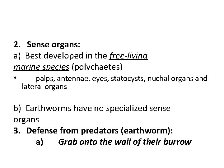 2. Sense organs: a) Best developed in the free-living marine species (polychaetes) • palps,
