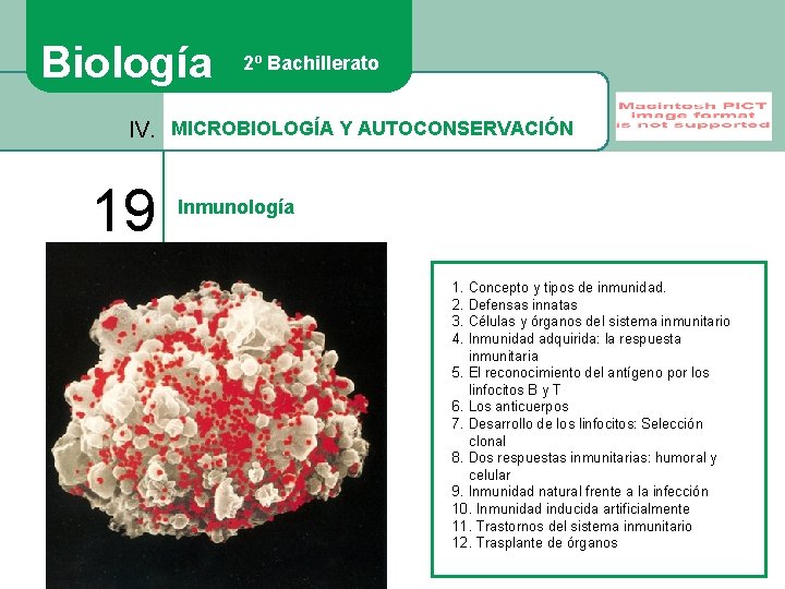 Biología 2º Bachillerato IV. MICROBIOLOGÍA Y AUTOCONSERVACIÓN 19 Inmunología 1. Concepto y tipos de