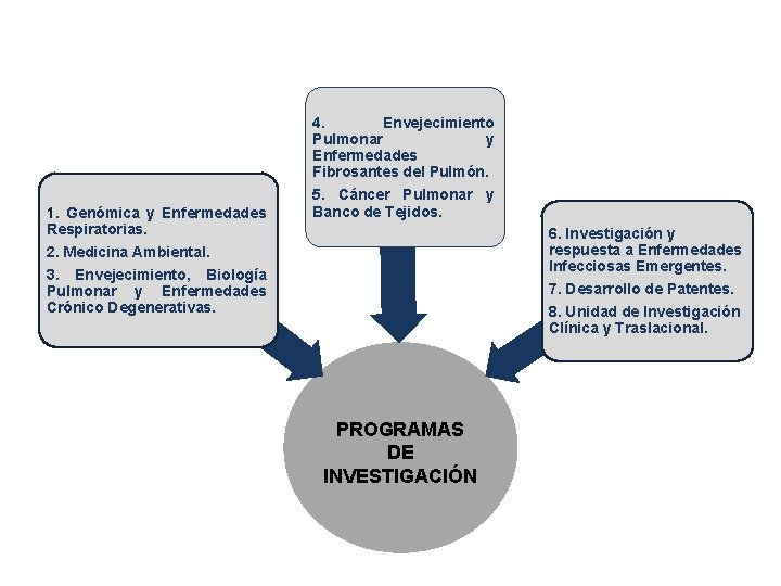 1. Genómica y Enfermedades Respiratorias. 4. Envejecimiento Pulmonar y Enfermedades Fibrosantes del Pulmón. 5.