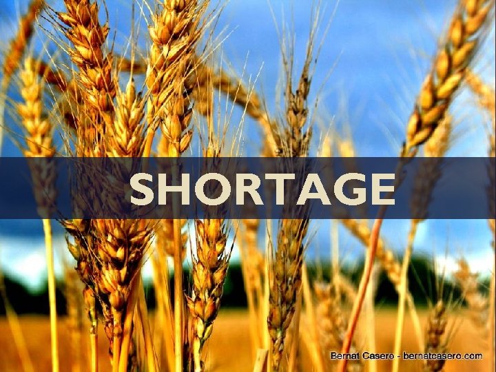 SHORTAGE 