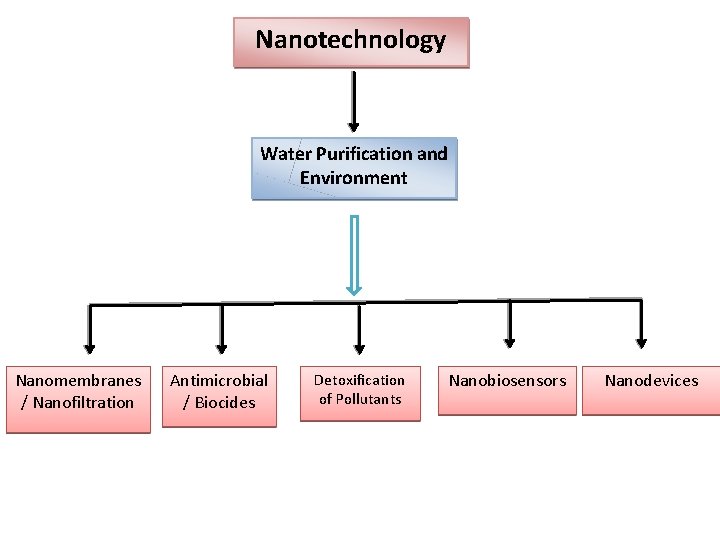 Nanotechnology Water Purification and Environment Nanomembranes / Nanofiltration Antimicrobial / Biocides Detoxification of Pollutants