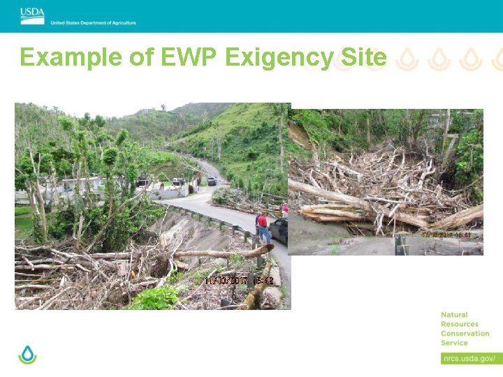 Example of EWP Exigency Site 