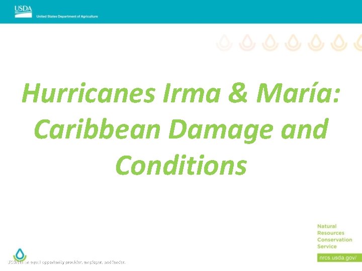 Hurricanes Irma & María: Caribbean Damage and Conditions USDA is an equal opportunity provider,
