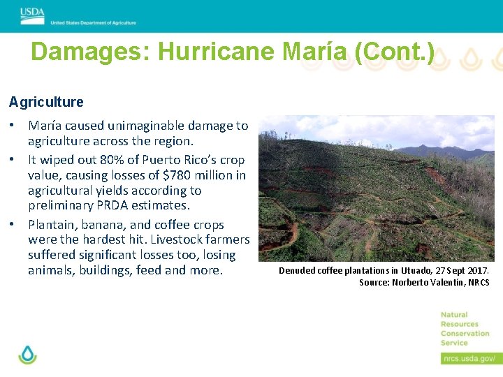 Damages: Hurricane María (Cont. ) Agriculture • María caused unimaginable damage to agriculture across