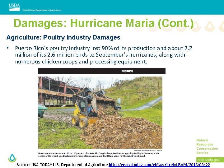 Damages: Hurricane María (Cont. ) Agriculture: Poultry Industry Damages • Puerto Rico’s poultry industry