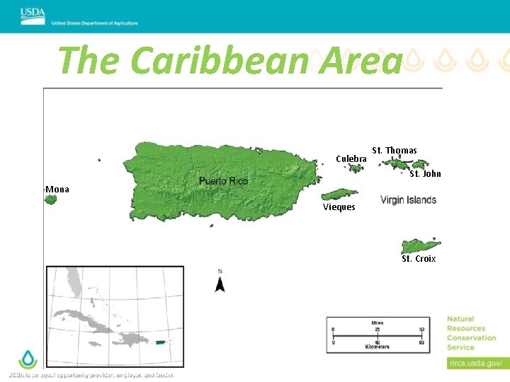 The Caribbean Area Culebra St. Thomas St. John Mona Vieques St. Croix USDA is