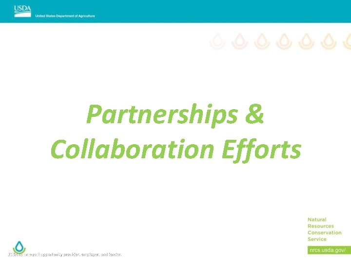 Partnerships & Collaboration Efforts USDA is an equal opportunity provider, employer, and lender. 