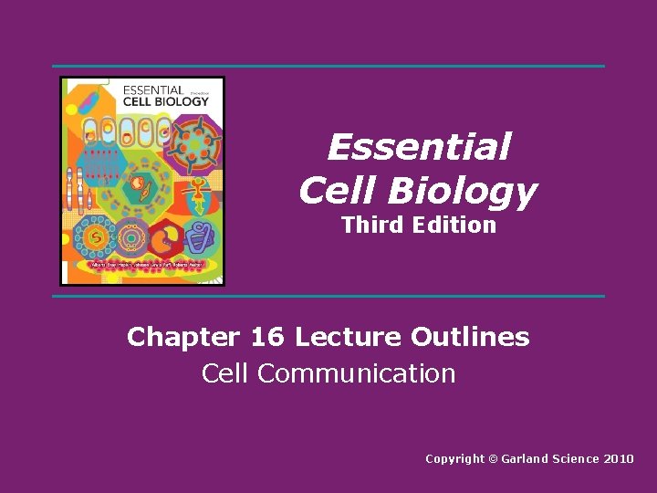 Essential Cell Biology Third Edition Chapter 16 Lecture Outlines Cell Communication Copyright © Garland