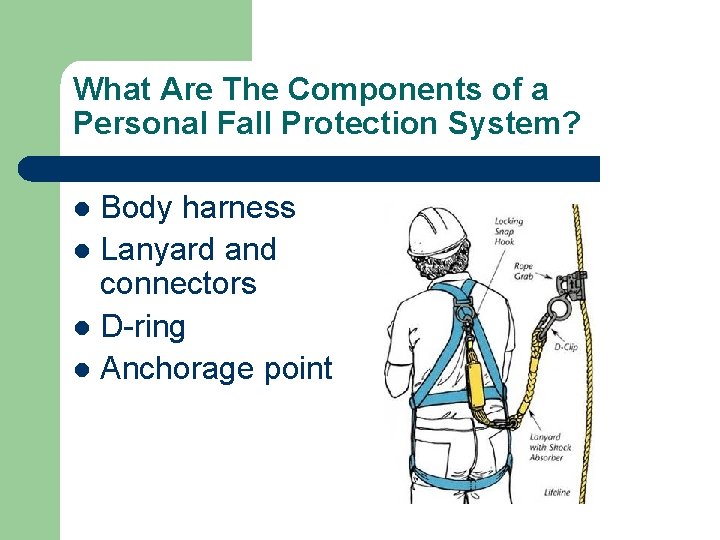 What Are The Components of a Personal Fall Protection System? Body harness l Lanyard