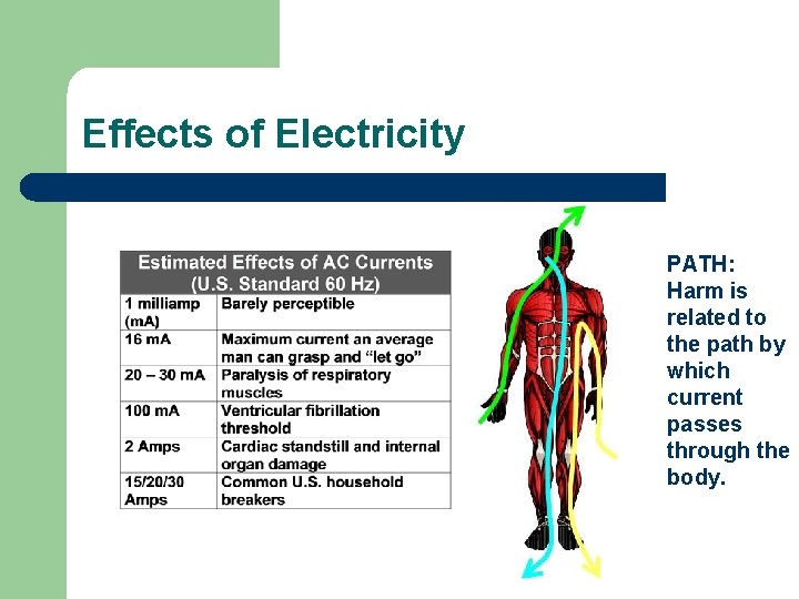 Effects of Electricity PATH: Harm is related to the path by which current passes