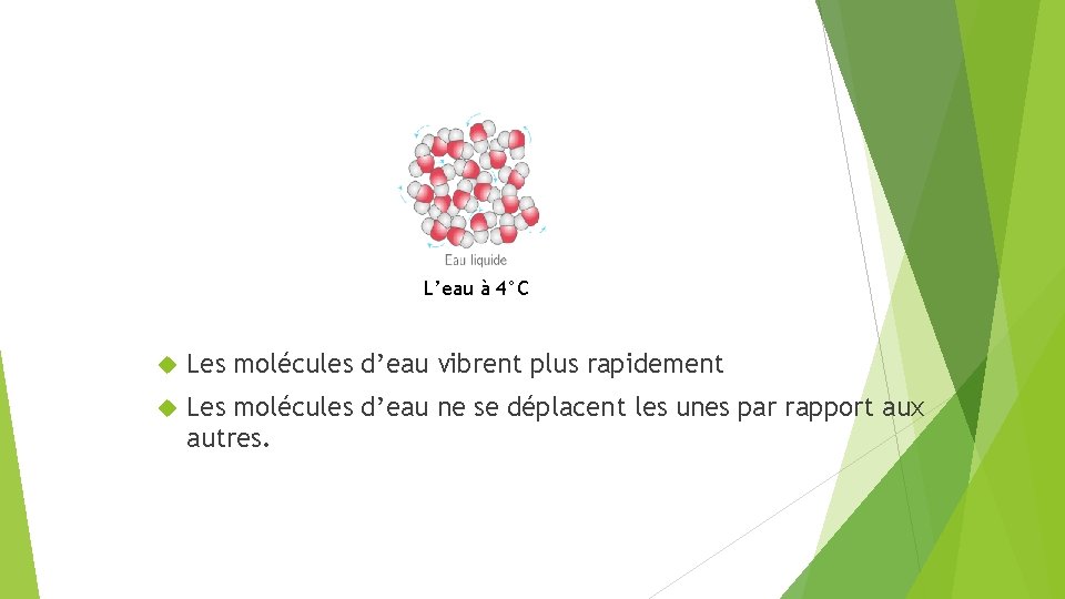 L’eau à 4°C Les molécules d’eau vibrent plus rapidement Les molécules d’eau ne se