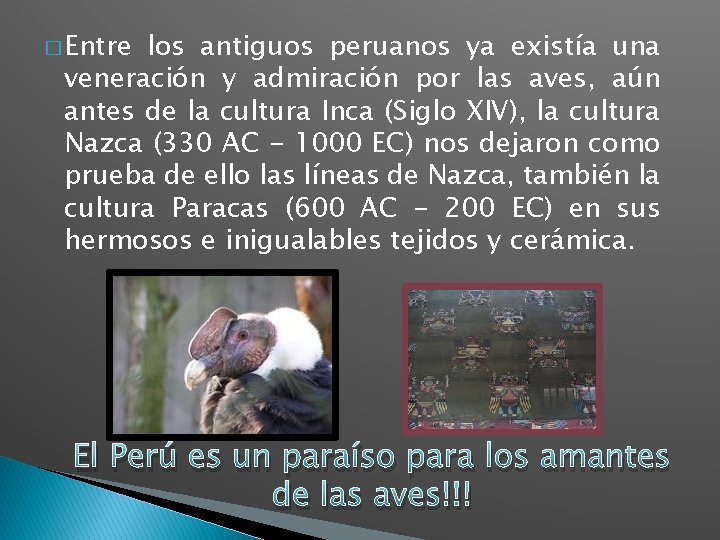 � Entre los antiguos peruanos ya existía una veneración y admiración por las aves,