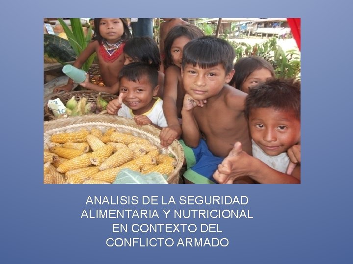 ANALISIS DE LA SEGURIDAD ALIMENTARIA Y NUTRICIONAL EN CONTEXTO DEL CONFLICTO ARMADO 