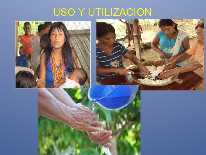 USO Y UTILIZACION 