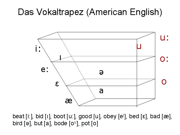 Das Vokaltrapez (American English) u i: ı u: o: e: ə ε a o
