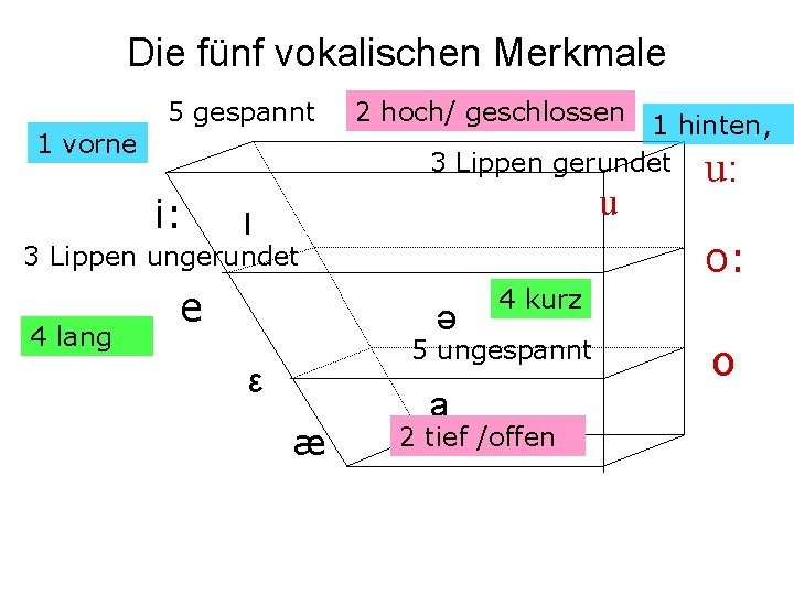 Die fünf vokalischen Merkmale 1 vorne 5 gespannt i: 2 hoch/ geschlossen 1 hinten,