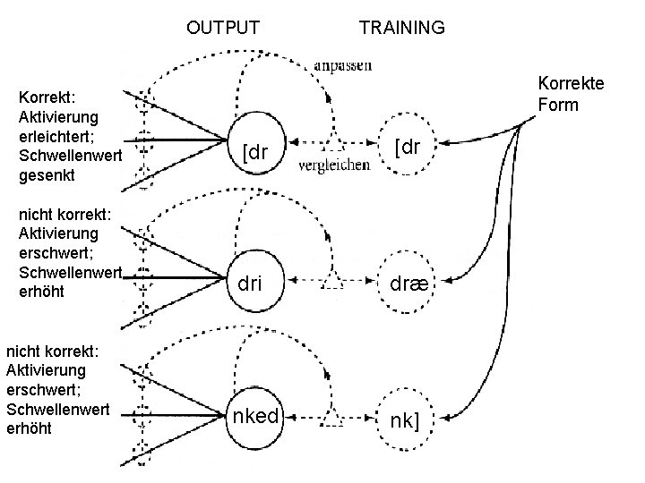 OUTPUT Korrekt: Aktivierung erleichtert; Schwellenwert gesenkt nicht korrekt: Aktivierung erschwert; Schwellenwert erhöht TRAINING Korrekte