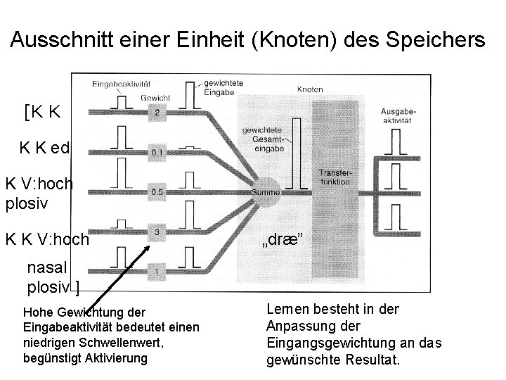 Ausschnitt einer Einheit (Knoten) des Speichers [K K ed K V: hoch plosiv K