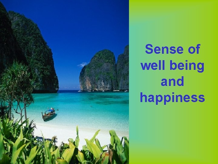 Sense of well being and happiness 